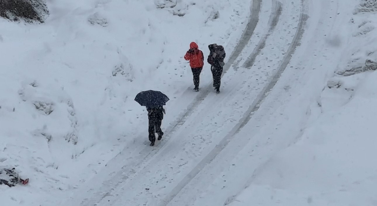 Yüksekova’da kar yağışı etkili oldu
