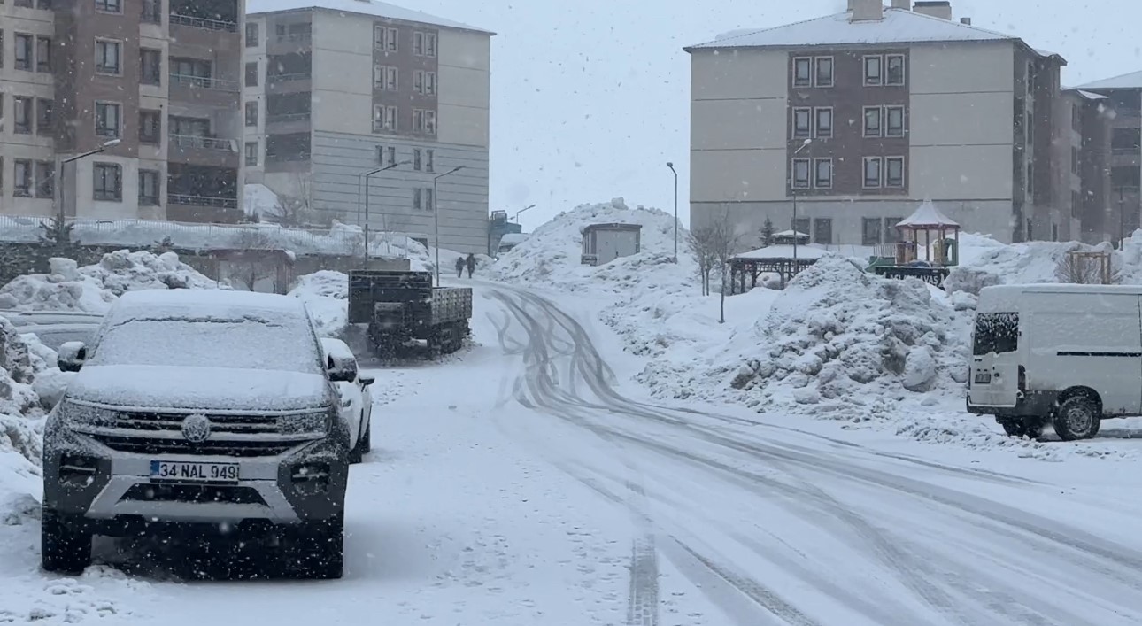 Yüksekova’da kar yağışı etkili oldu
