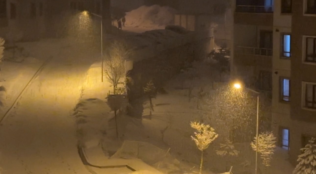 Yüksekova’da kar yağışı etkili oldu
