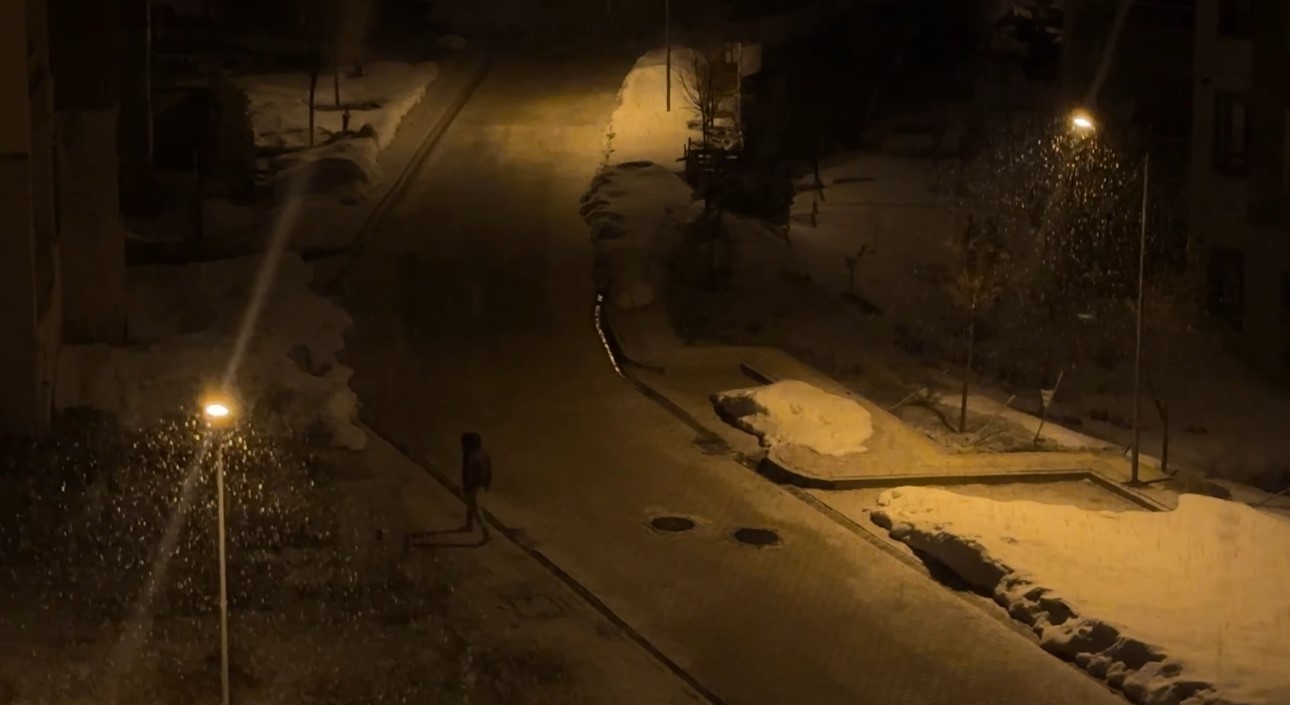 Yüksekova’da kar yağışı etkili oluyor
