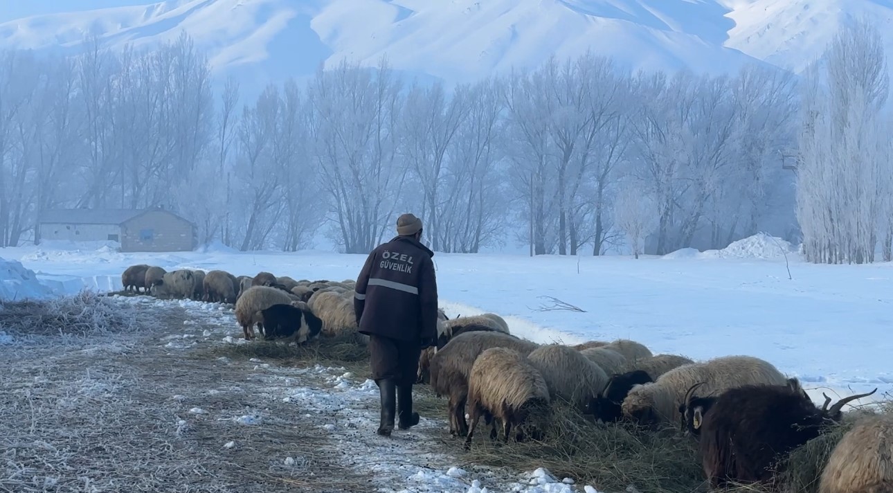 Yüksekova’da kuduz vakası
