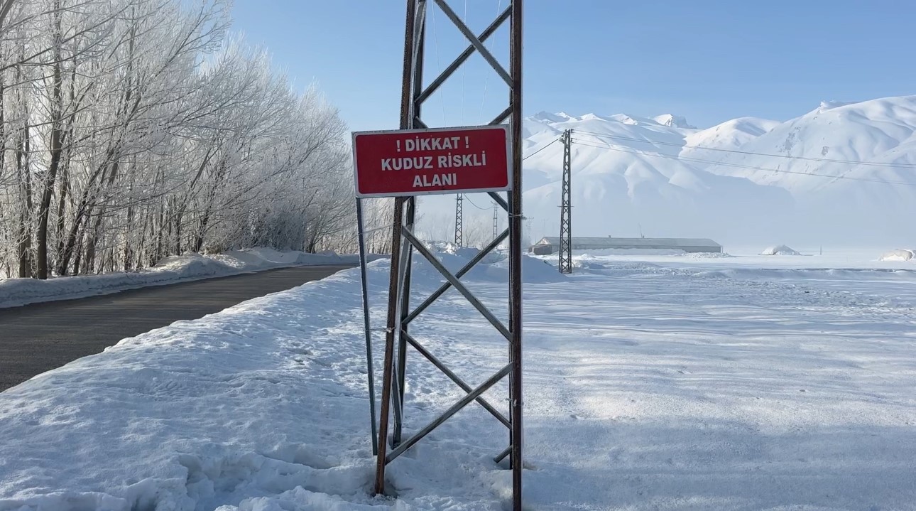 Yüksekova’da kuduz vakası
