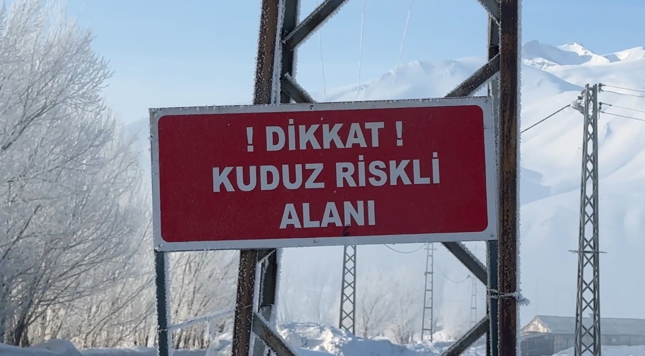 Yüksekova’da kuduz vakası
