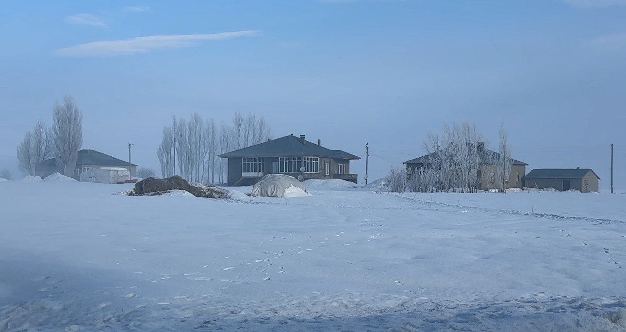 Yüksekova’da kuduz vakası
