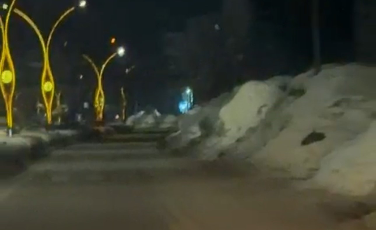 Yüksekova’da kurtlar şehir merkezine indi
