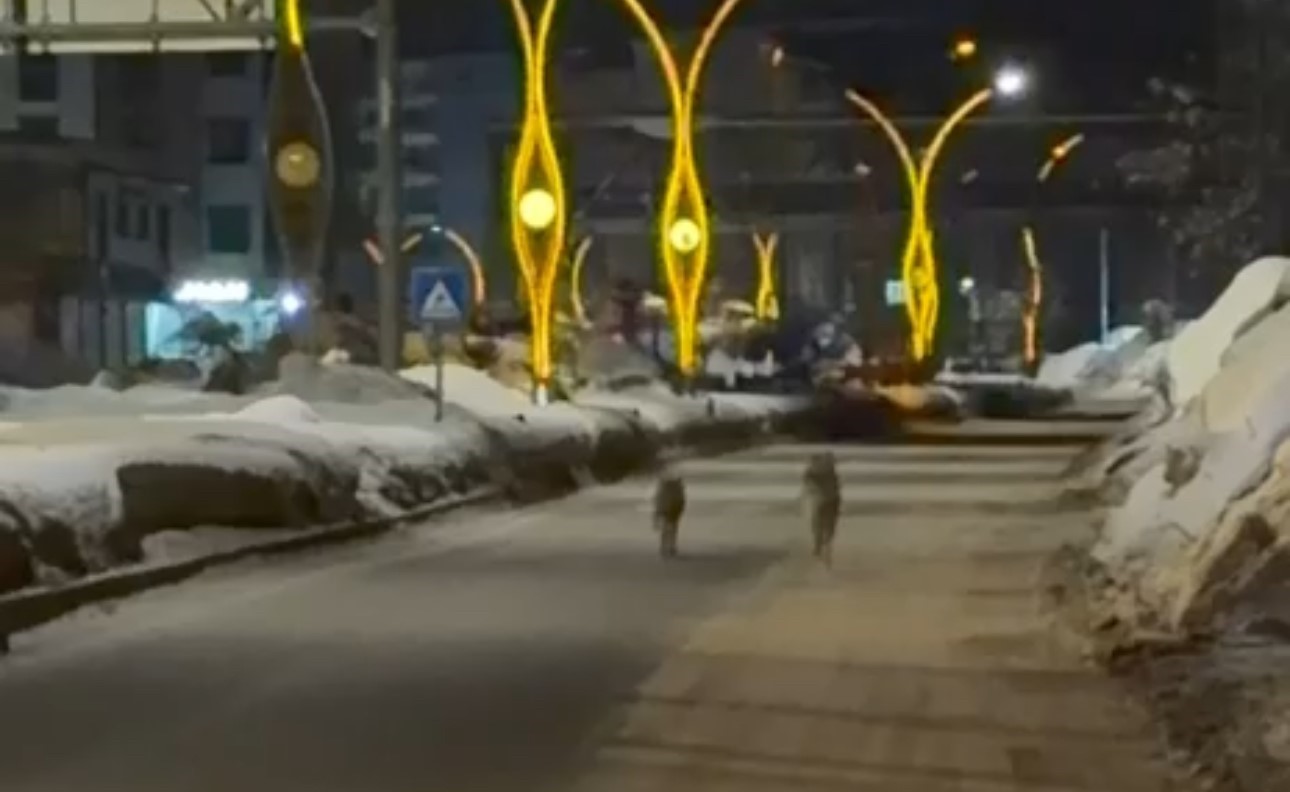 Yüksekova’da kurtlar şehir merkezine indi
