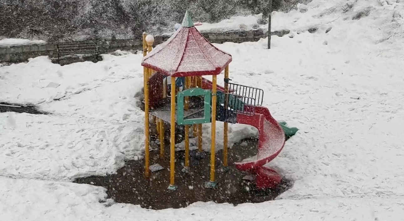 Yüksekova’da lapa lapa kar yağışı başladı
