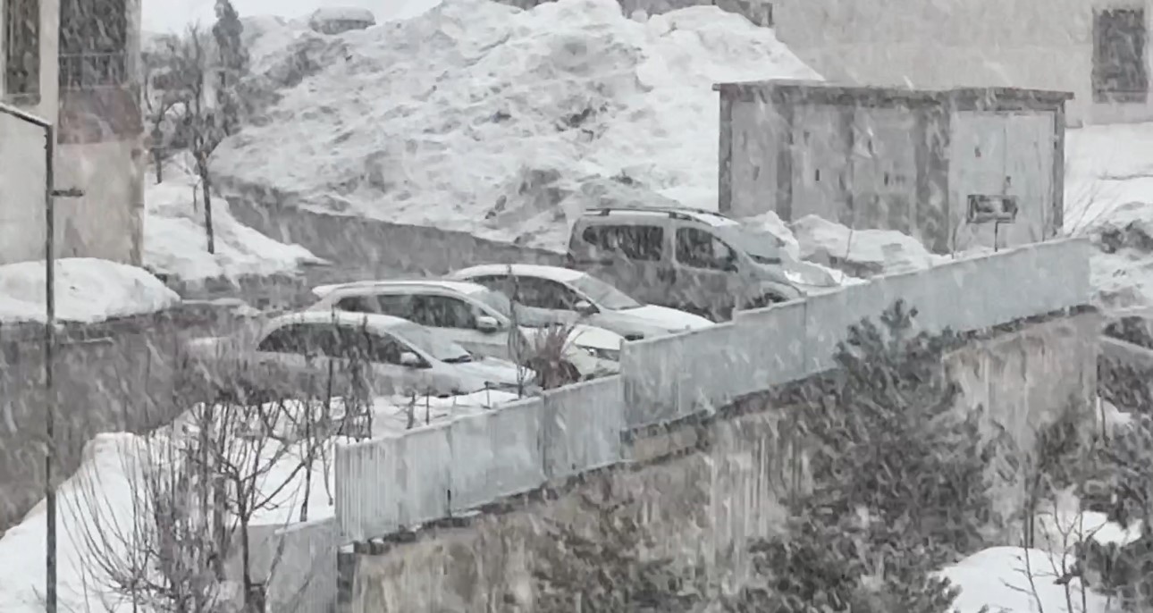 Yüksekova’da lapa lapa kar yağışı başladı
