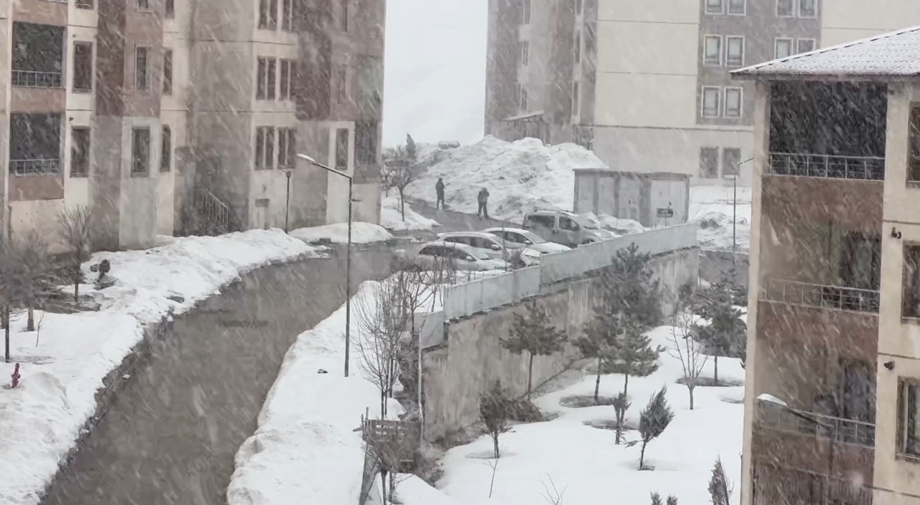 Yüksekova’da lapa lapa kar yağışı başladı
