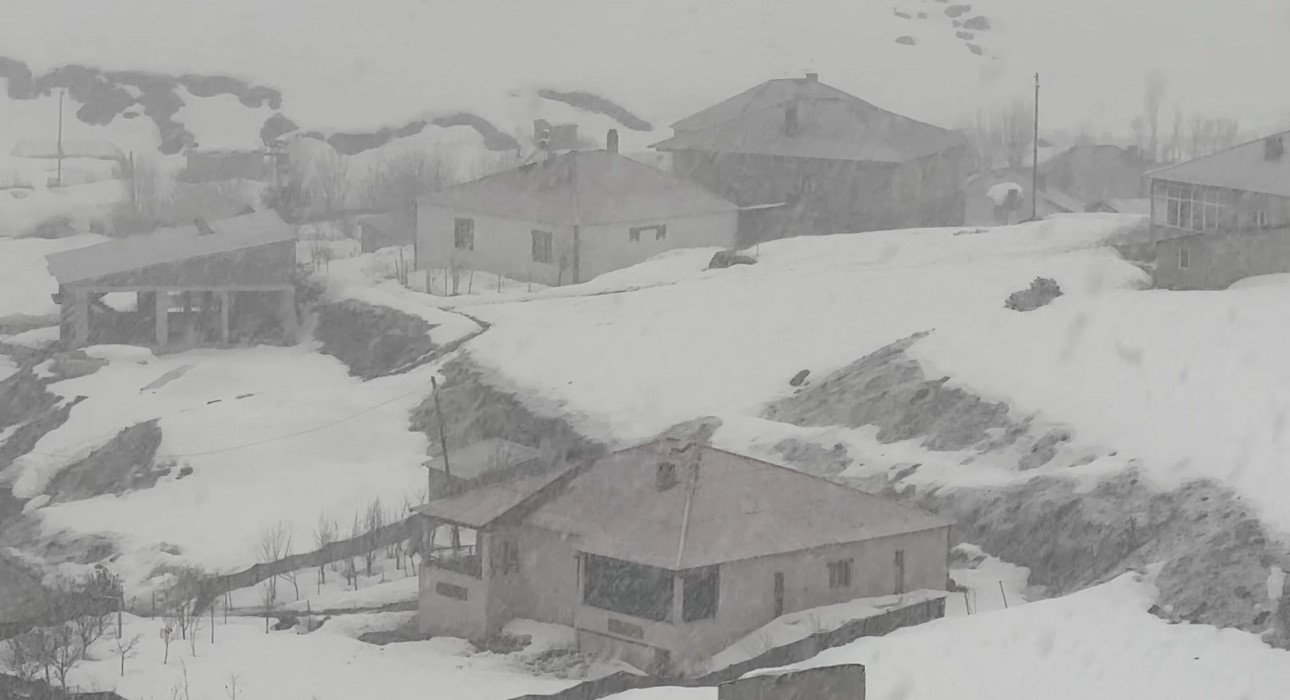 Yüksekova’da lapa lapa kar yağışı başladı
