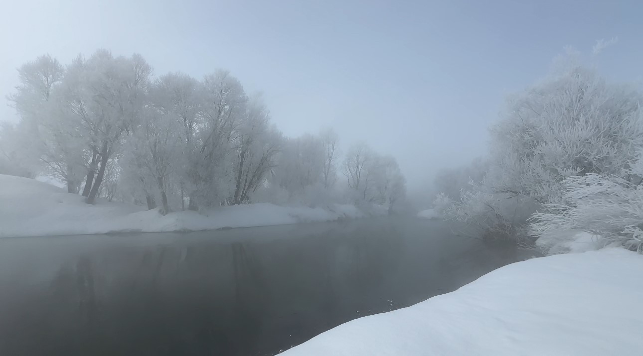 Yüksekova’da sisle birleşen kırağı ağaçları sanat eserine dönüştürdü
