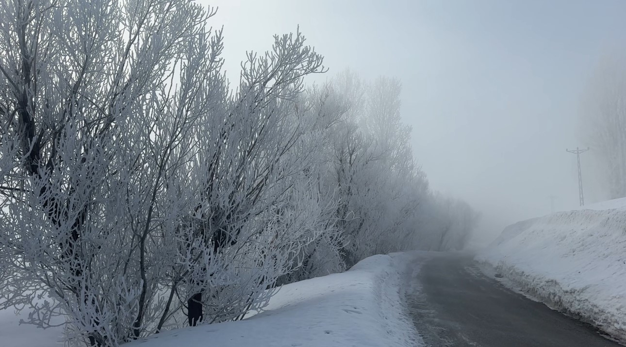 Yüksekova’da sisle birleşen kırağı ağaçları sanat eserine dönüştürdü
