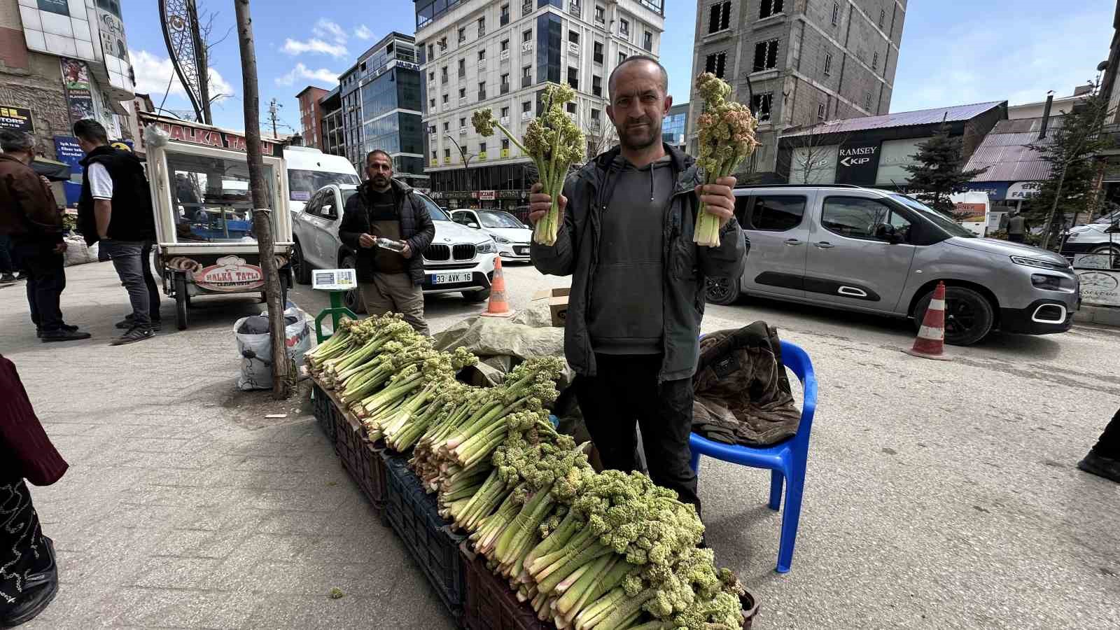 Yüksekova’da ‘yayla muzu’ mesaisi başladı
