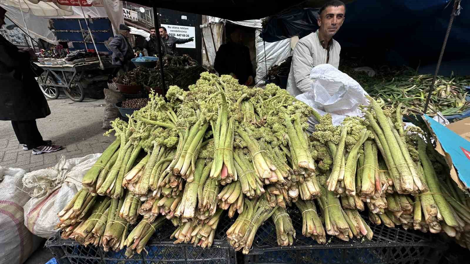 Yüksekova’da ‘yayla muzu’ mesaisi başladı
