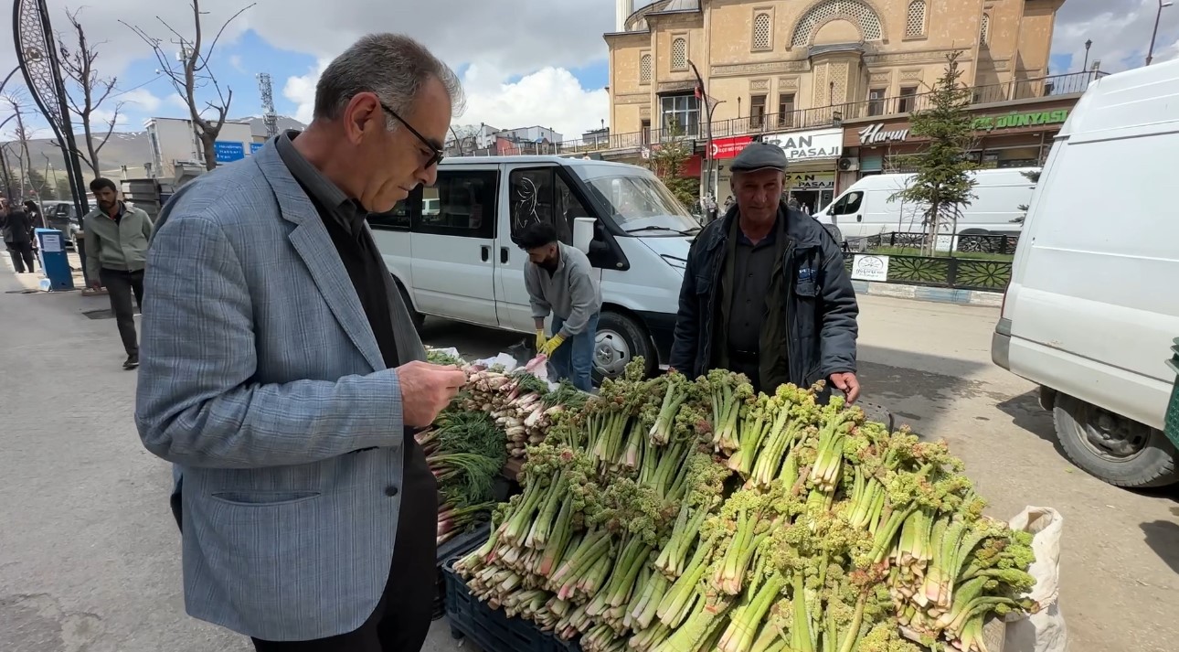 Yüksekova’da ‘yayla muzu’ mesaisi başladı
