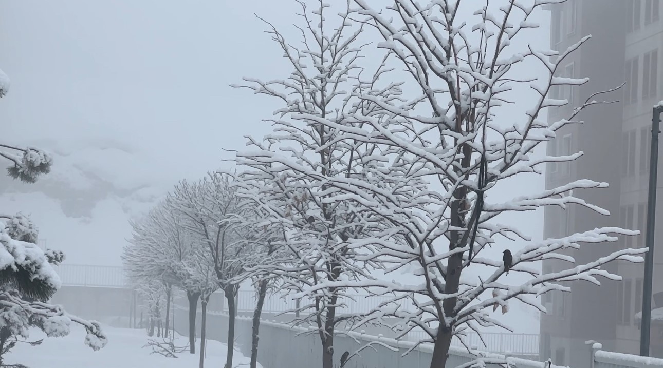 Yüksekova’da yoğun sis seyirlik görüntüler oluşturdu
