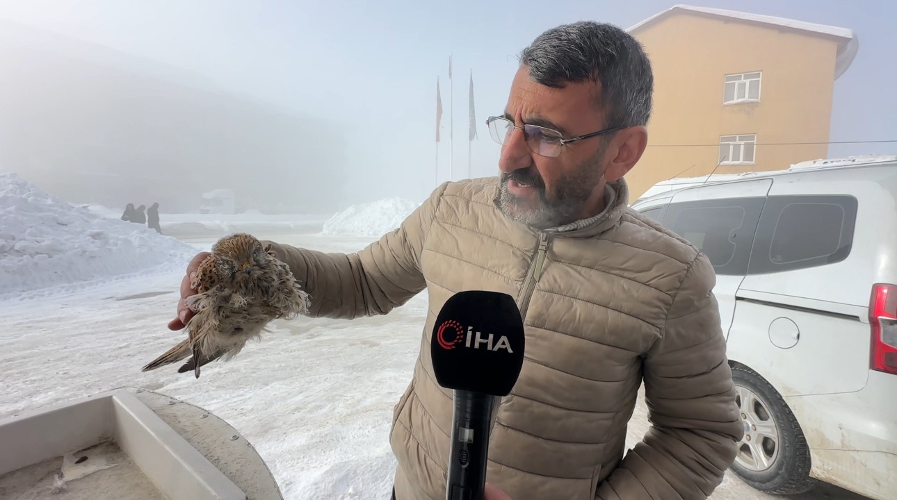 Yüksekova’da yürek burkan manzara: Konduğu yerde dondu
