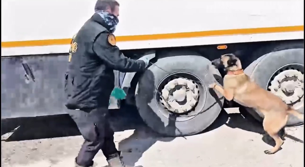 Yüksekova’da zehir tacirlerine ağır darbe: 211 kilogram uyuşturucu ele geçirildi
