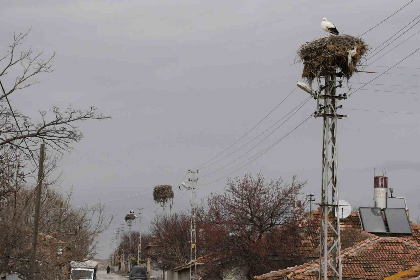 Yuvalarına dönen leylekler Yozgat’ta baharı müjdeledi
