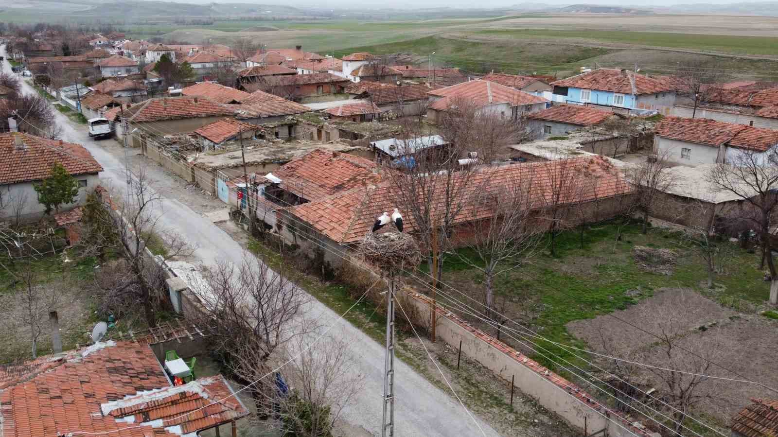 Yuvalarına dönen leylekler Yozgat’ta baharı müjdeledi
