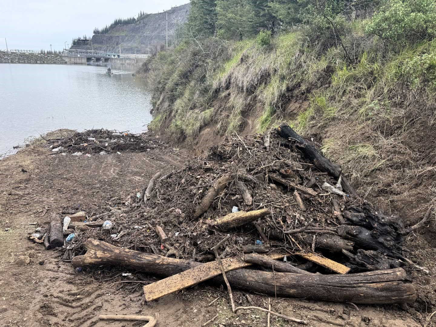 Yüzde 100 doluluğa ulaşan Yuvacık Barajı’ndan 9 kamyon atık çıkarıldı
Yüzde 100 doluluğa ulaşan Yuvacık Barajı’ndan 9 kamyon atık çıkarıldı