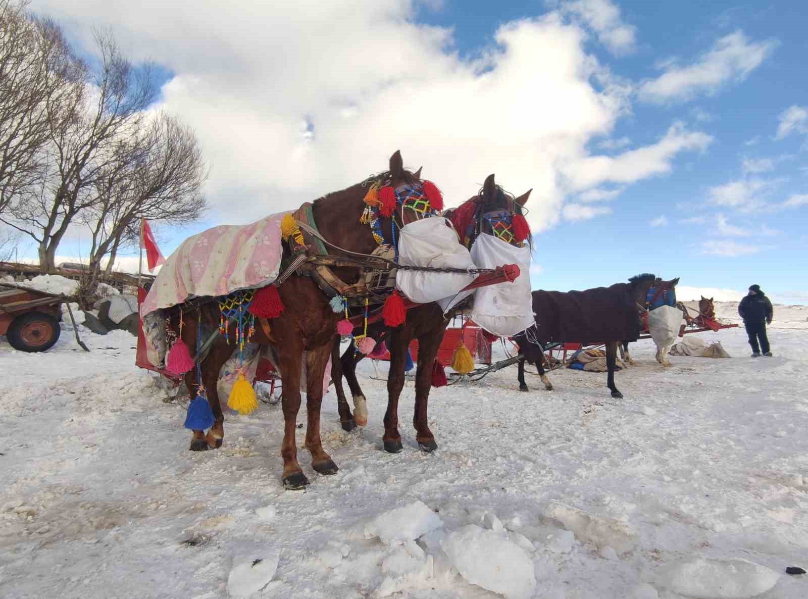Yüzeyi buz tutan Çıldır Gölü misafirlerini ağırlamaya başladı
