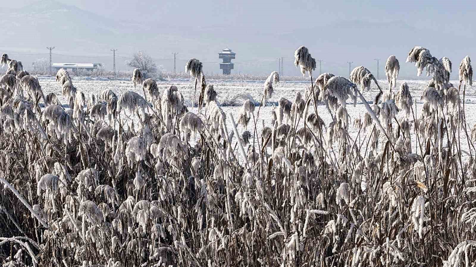 Yüzeyi buz tutan Kaz gölü kış manzarası ile mest etti
Yüzeyi buz tutan Kaz gölü kış manzarası ile mest etti