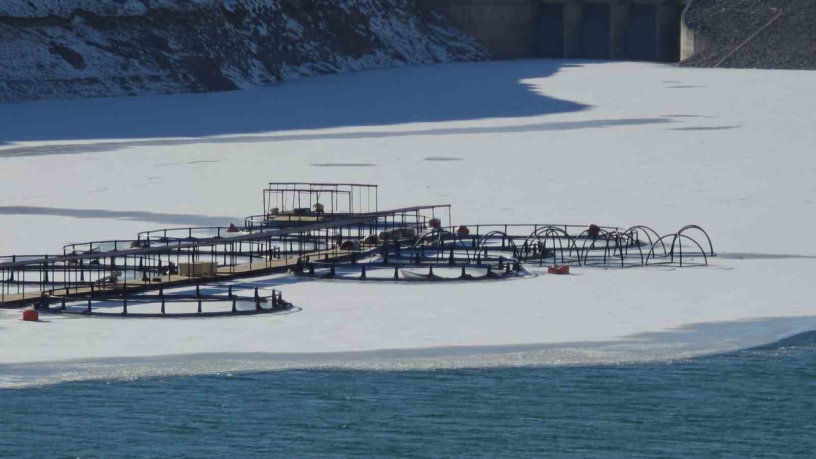 Zernek Barajı’nın buzları çözülmeye başladı
