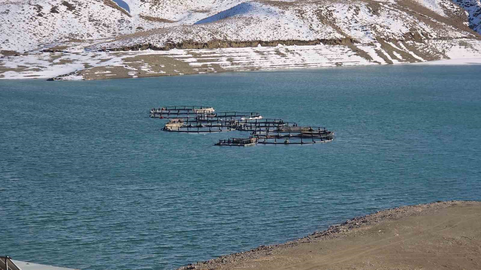 Zernek Barajı’nın buzları çözülmeye başladı
