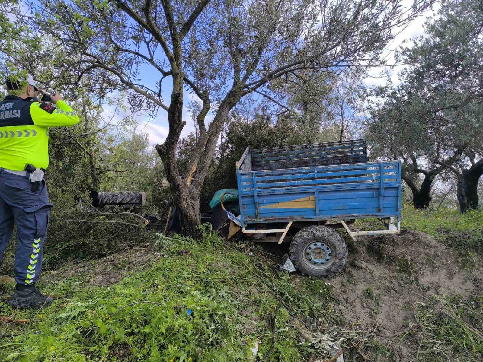 Zeytin bahçesine uçan patpatın sürücüsü öldü
