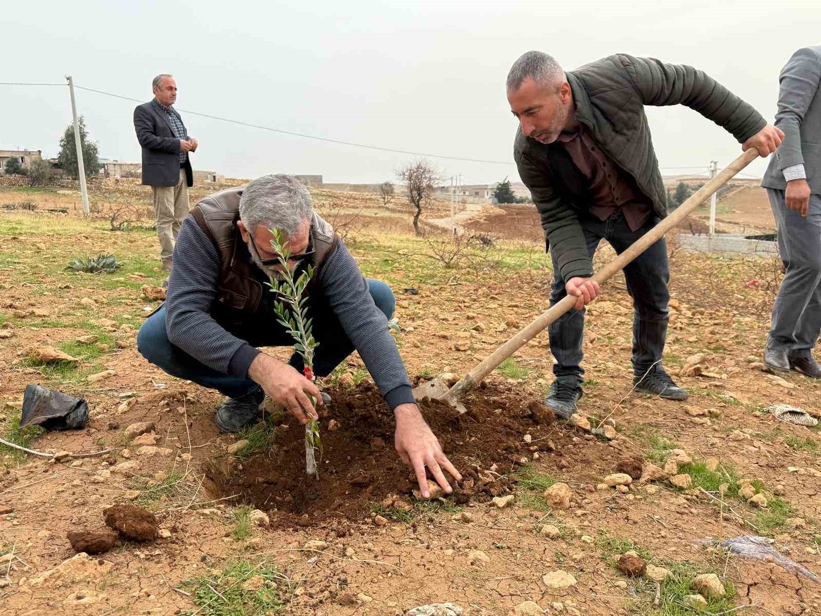 Zeytinli Mahallesi sıfır atık köyü olma yolunda ilerliyor
