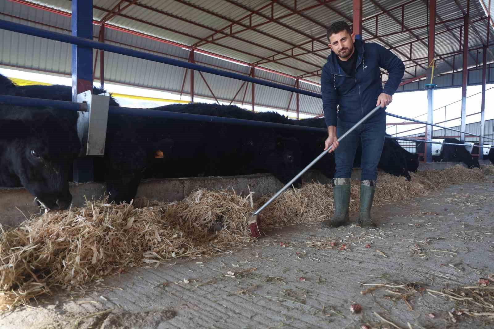 Ziraat mühendisliğini bırakarak devlet desteğiyle kurduğu çiftlikte hayvancılığa başladı
