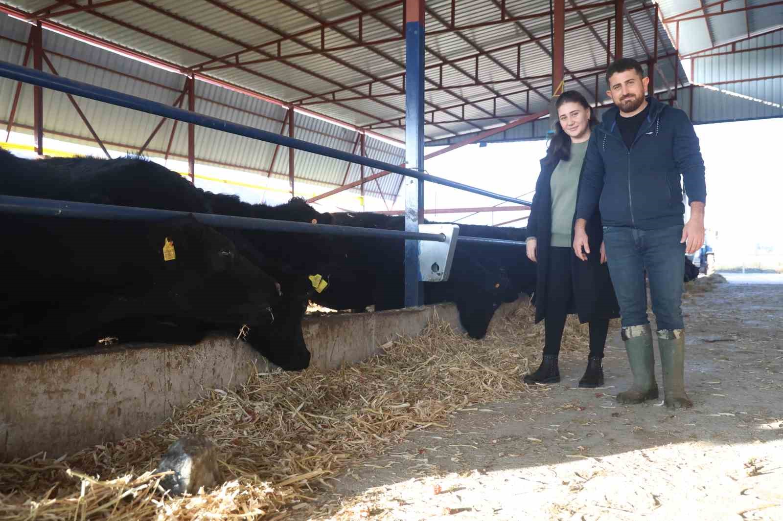 Ziraat mühendisliğini bırakarak devlet desteğiyle kurduğu çiftlikte hayvancılığa başladı
