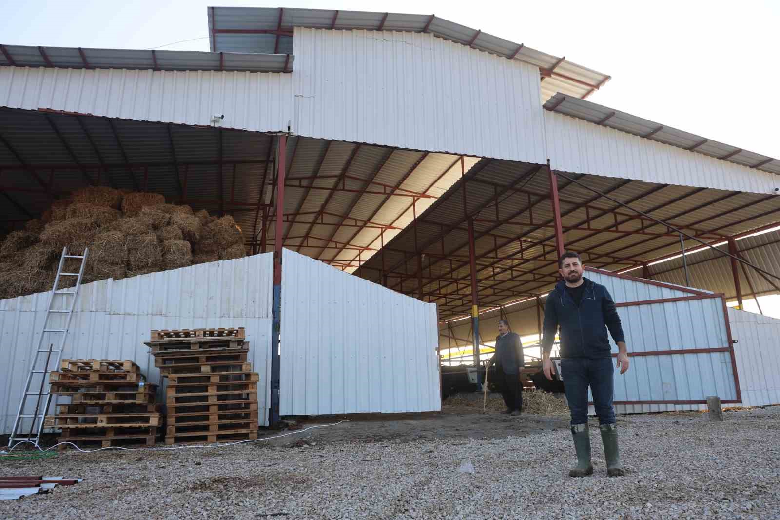 Ziraat mühendisliğini bırakarak devlet desteğiyle kurduğu çiftlikte hayvancılığa başladı
