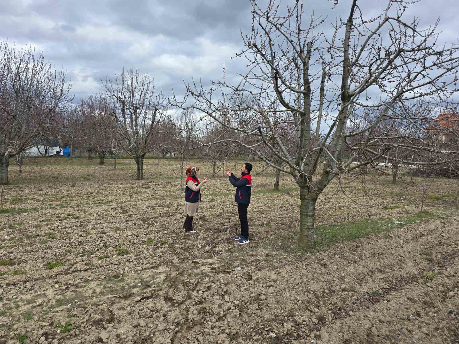 Zirai don olaylarına karşı meyve bahçelerinde kontroller sürüyor
