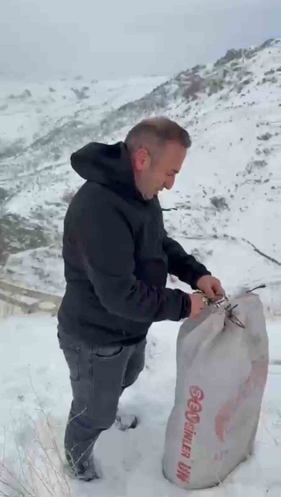 Zirveye şefkat tırmanışı: Yüksekova’da dağ keçileri için metrelerce karı aştılar
