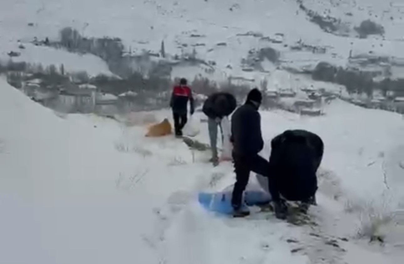 Zirveye şefkat tırmanışı: Yüksekova’da dağ keçileri için metrelerce karı aştılar
