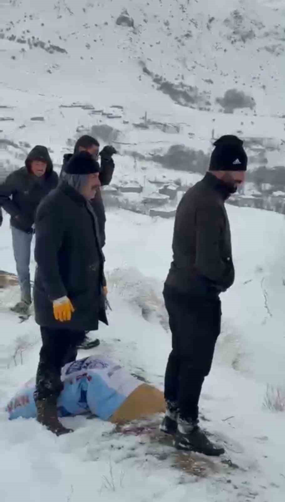 Zirveye şefkat tırmanışı: Yüksekova’da dağ keçileri için metrelerce karı aştılar
