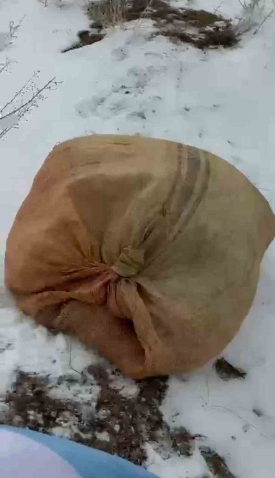 Zirveye şefkat tırmanışı: Yüksekova’da dağ keçileri için metrelerce karı aştılar
