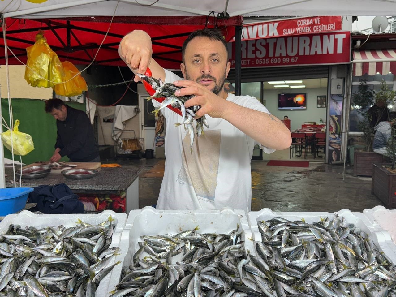 Zonguldak’ta istavrit tezgahta 100 liradan satıldı
