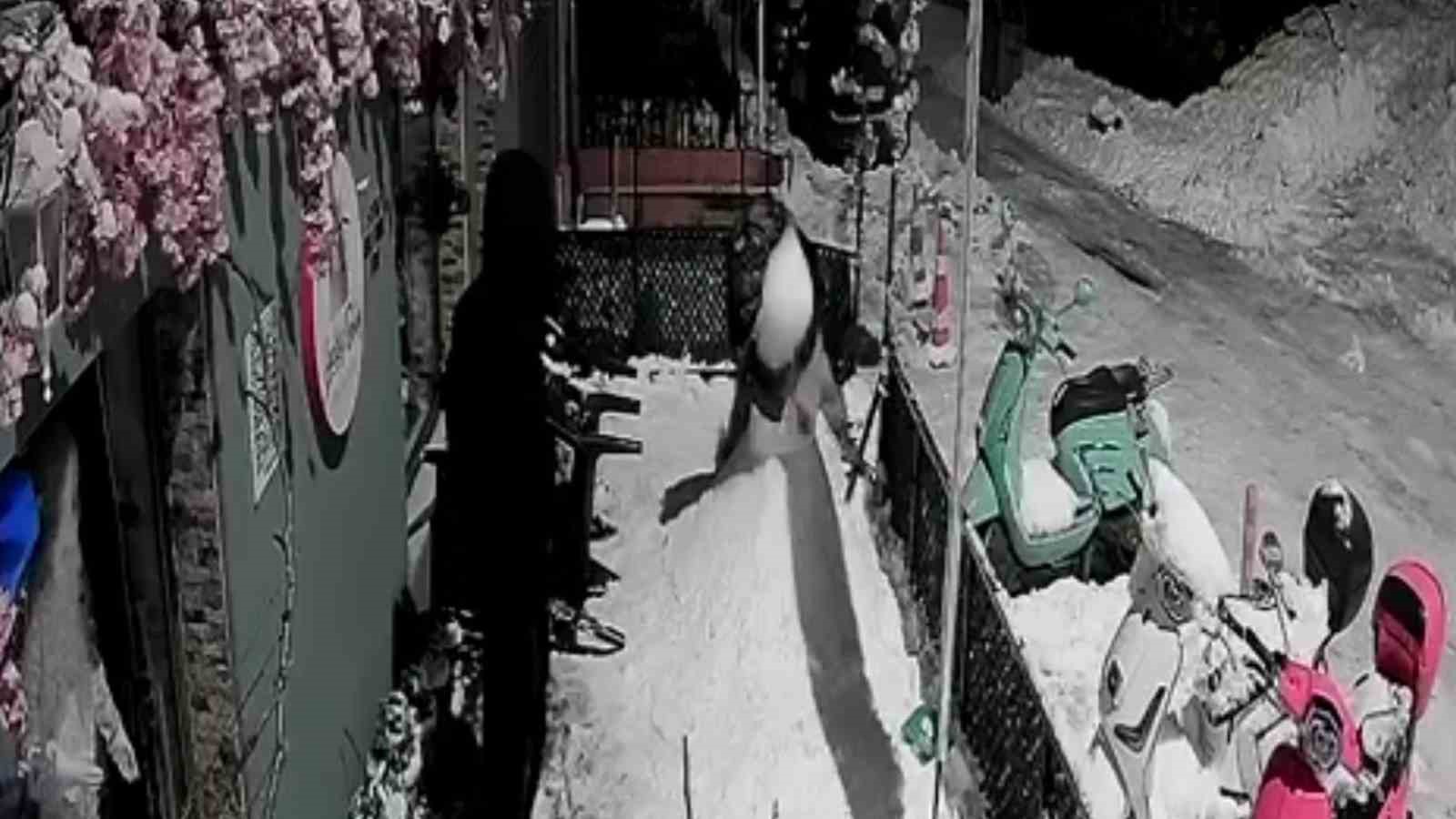 Zonguldak’ta pes dedirten olay; "Bana çarptı" deyip kardan adamı dövdüler
Zonguldak’ta pes dedirten olay; "Bana çarptı" deyip kardan adamı dövdüler