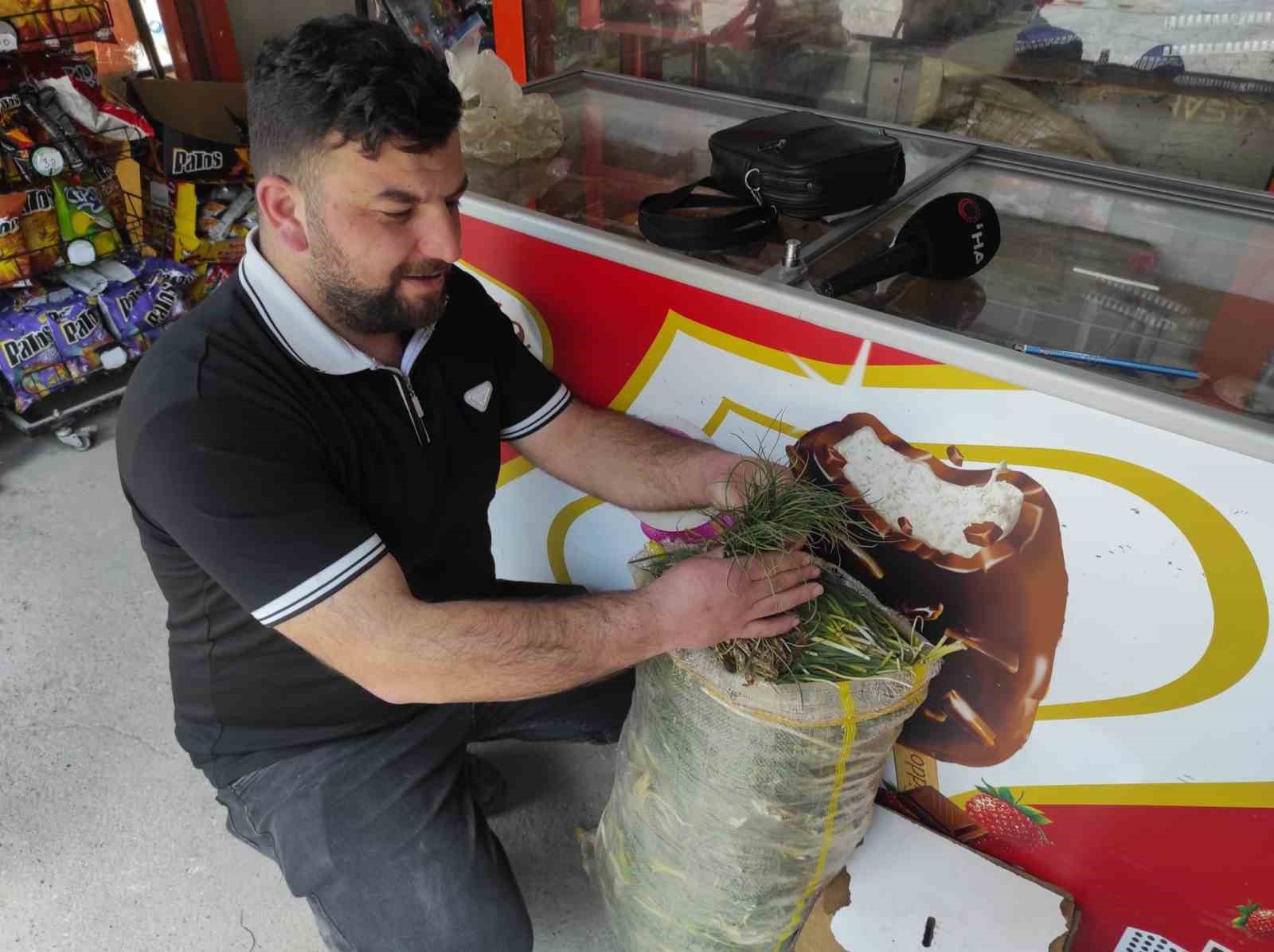 Zuzubak otu, köylüler için önemli bir gelir kapısı
