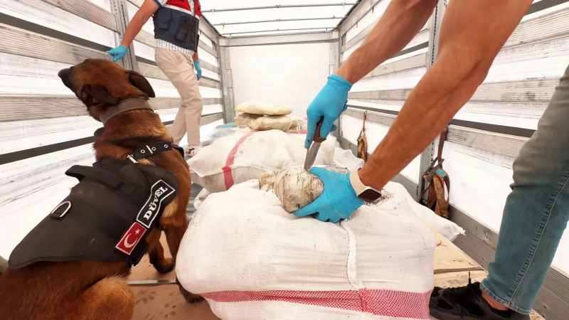 24 İlde Uyuşturucu Operasyonu: 80 Şüpheli Tutuklandı