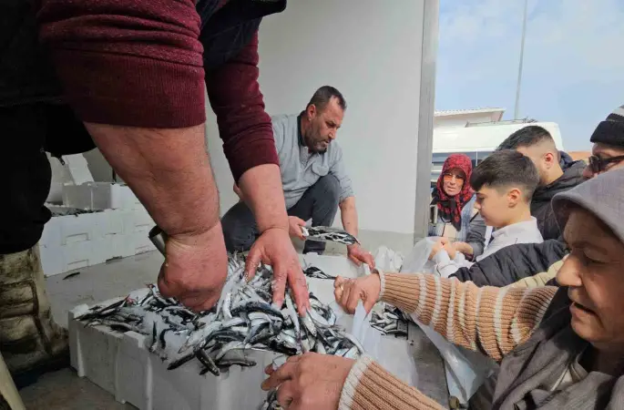 1 ton hamsi 15 dakika da tükendi
