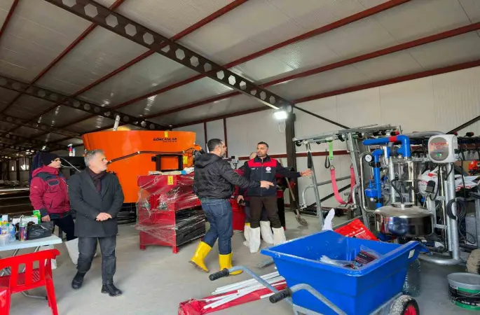 585 başlık küçükbaş işletmesi, yüzde 50 hibeyle faaliyete geçti
