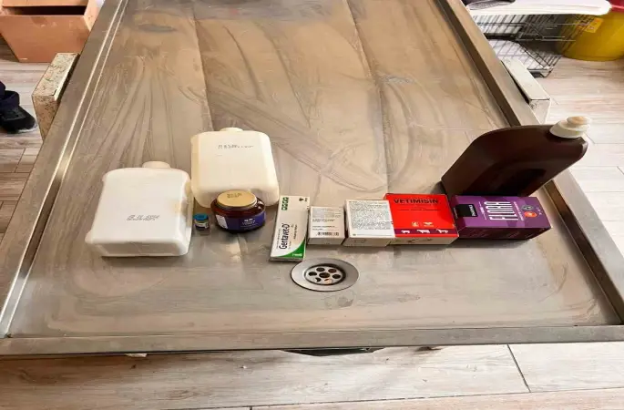 Açlıktan birbirini yiyen köpeklerin bakıldığı barınakta birçok ilacın tarihinin geçtiği belirlendi
