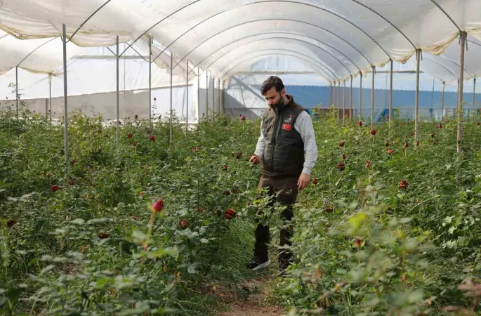 Adana’da sevgililerin gülleri dalında kurudu
