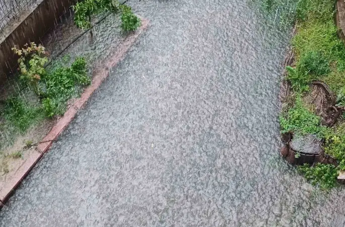 Adana’da yağmur sele neden oldu
