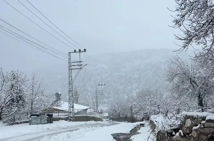 Adana’da yaylalarda kar etkili oldu
