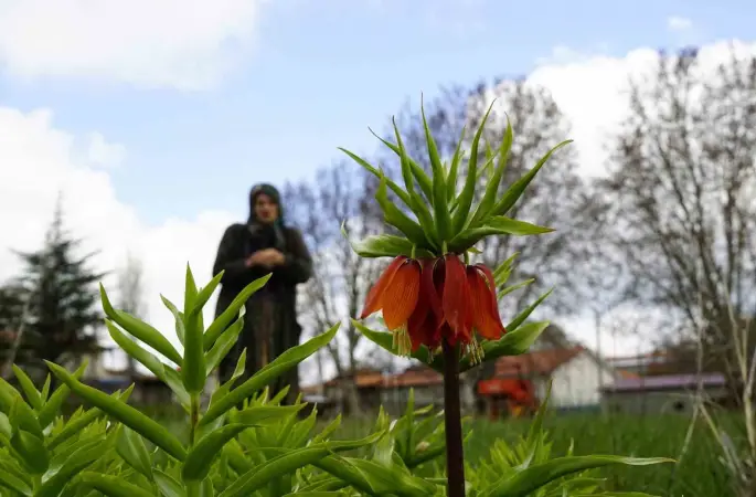 Ağlayan gelinler 5 yıl sonra baharı karşıladı
